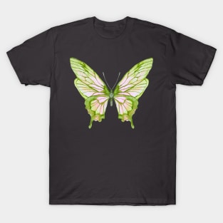 Vintage Luna Moth Painting T-Shirt